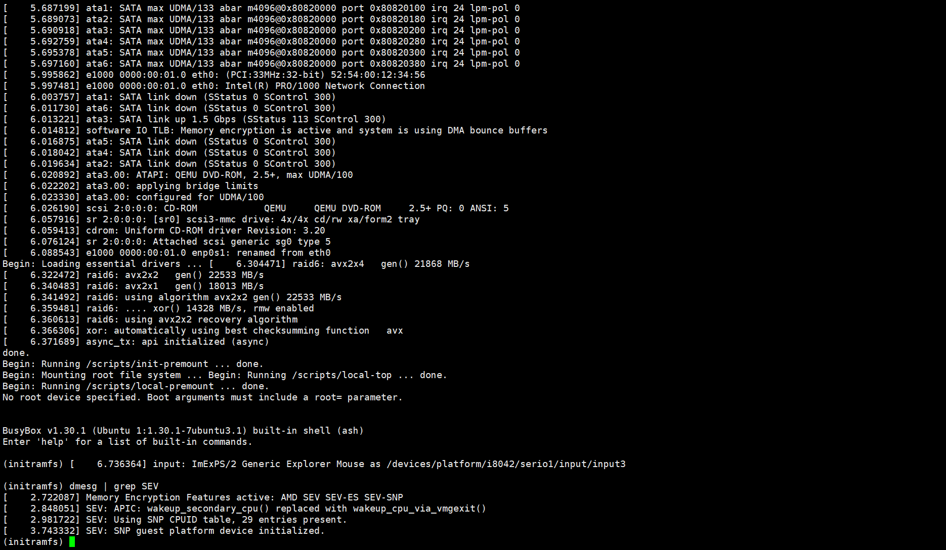 VM booted into initramfs