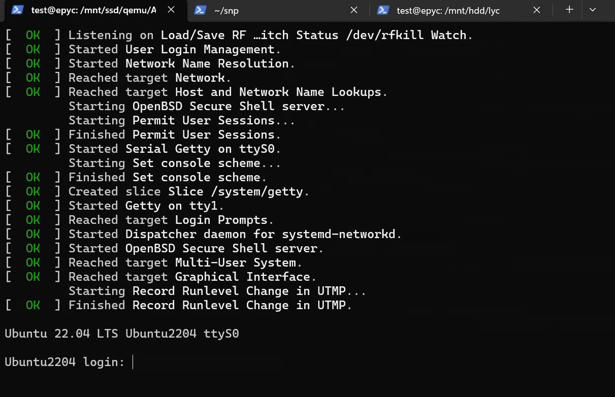 A seemingly ordinary VM after successful boot