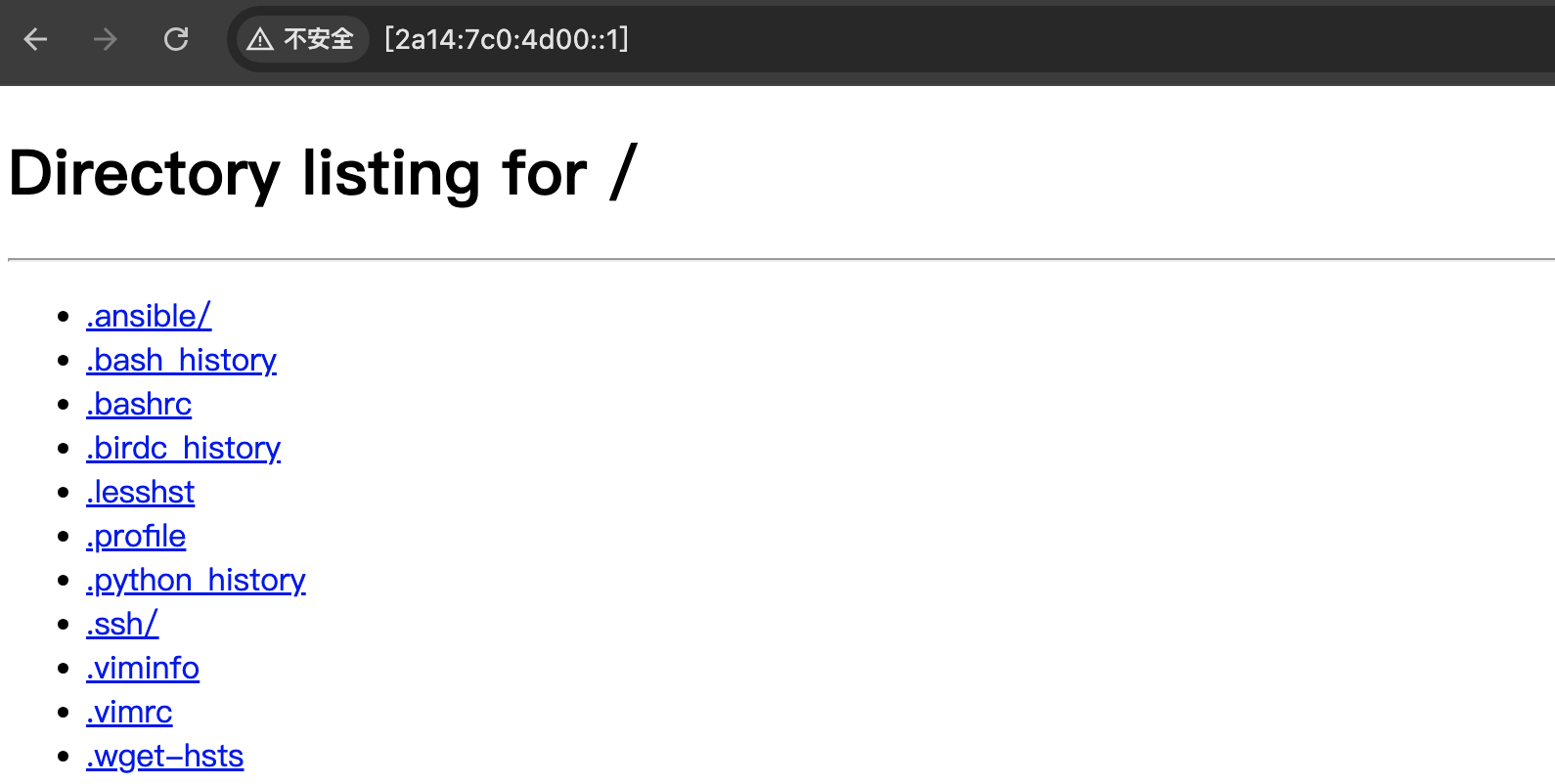Successfully accessing the hosted HTTP server
