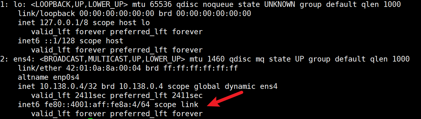 Even on a VPS without assigned IPv6 addresses, the interface still auto-generates a link-local address