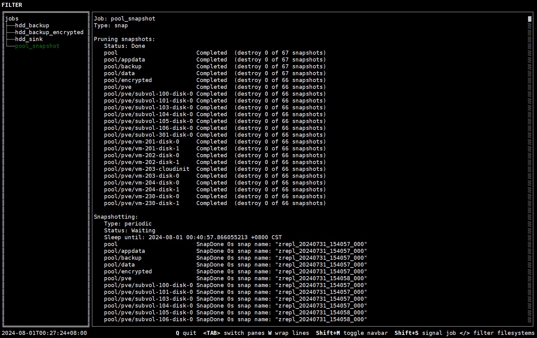 zrepl status 展示的内容