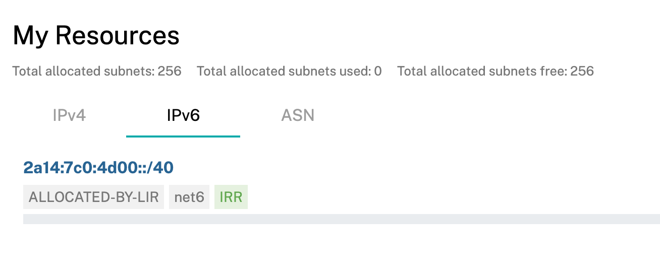 创建完成后, 自己的 IPv6 资源旁边可以看到绿色的 IRR 标签