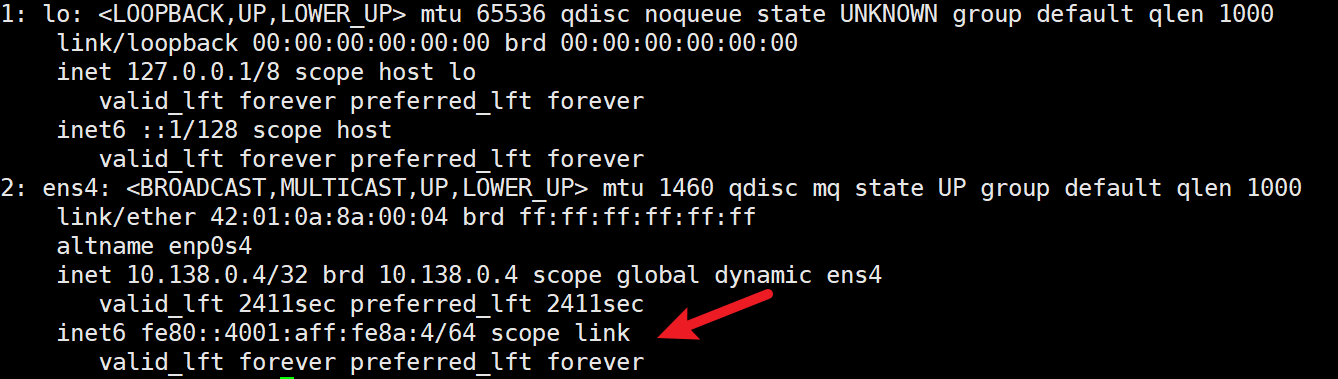 在没有分配 IPv6 地址的 VPS 上, 接口也有自动生成的 link-local 地址