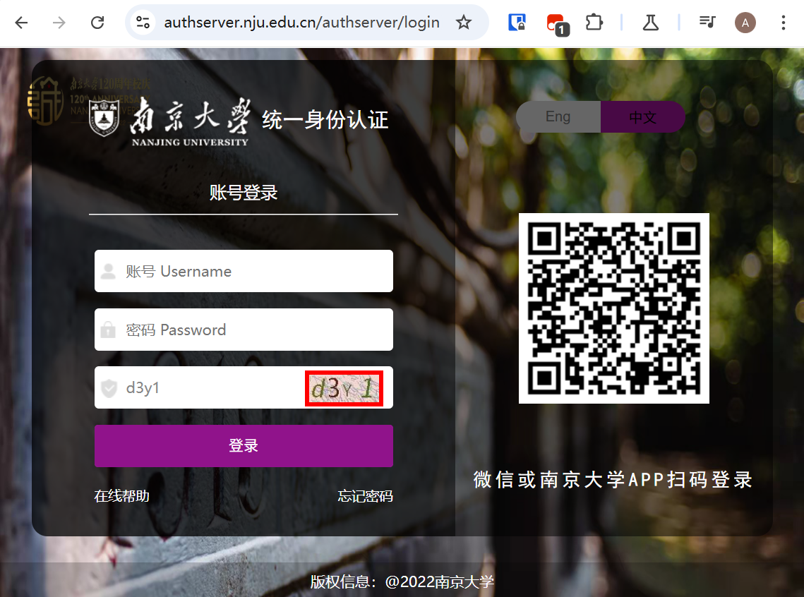 纯属走个形式的验证码